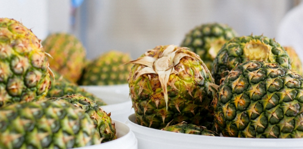 Wizyta w fabryce lodów Grycan