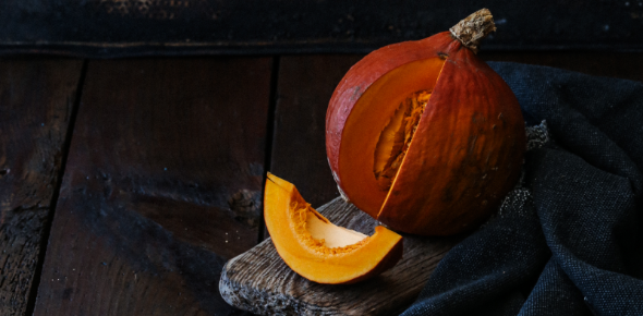 Przewodnik po dyniach