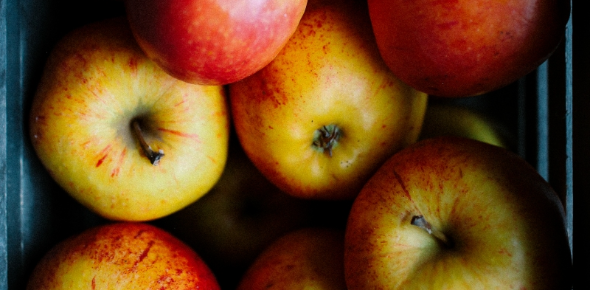 Czy warto kupić wyciskarkę wolnoobrotową?